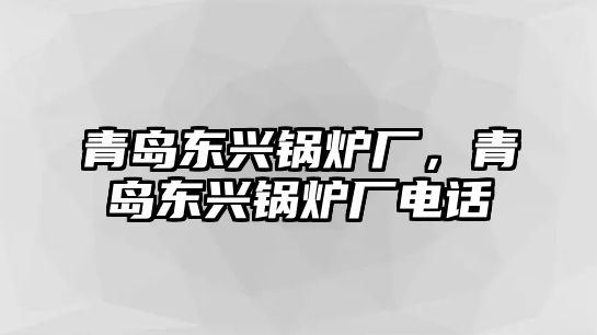 青島東興鍋爐廠，青島東興鍋爐廠電話