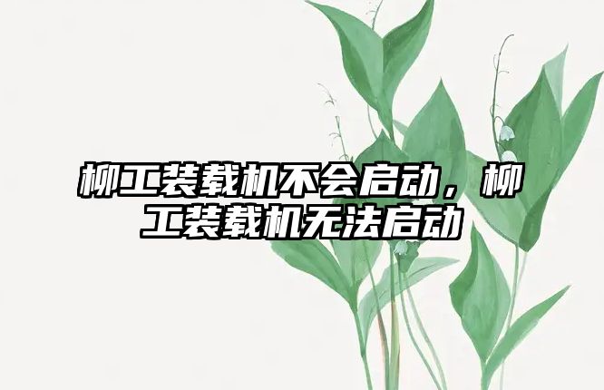 柳工裝載機不會啟動，柳工裝載機無法啟動