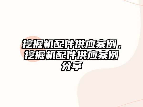 挖掘機配件供應案例，挖掘機配件供應案例分享