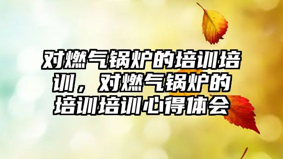 對燃?xì)忮仩t的培訓(xùn)培訓(xùn)，對燃?xì)忮仩t的培訓(xùn)培訓(xùn)心得體會