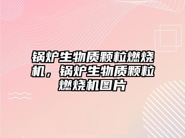 鍋爐生物質顆粒燃燒機，鍋爐生物質顆粒燃燒機圖片