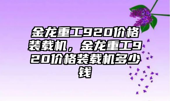 金龍重工920價格裝載機，金龍重工920價格裝載機多少錢