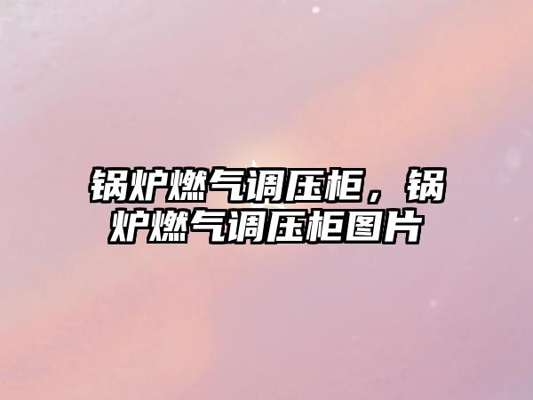 鍋爐燃?xì)庹{(diào)壓柜，鍋爐燃?xì)庹{(diào)壓柜圖片