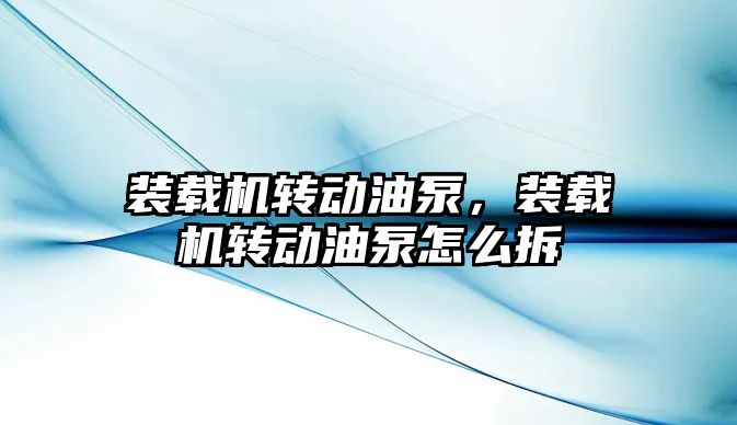 裝載機轉(zhuǎn)動油泵，裝載機轉(zhuǎn)動油泵怎么拆