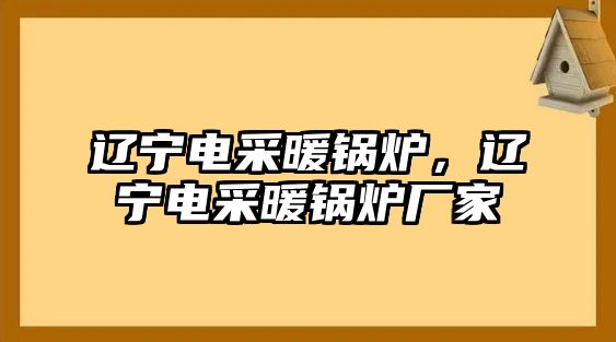 遼寧電采暖鍋爐，遼寧電采暖鍋爐廠家