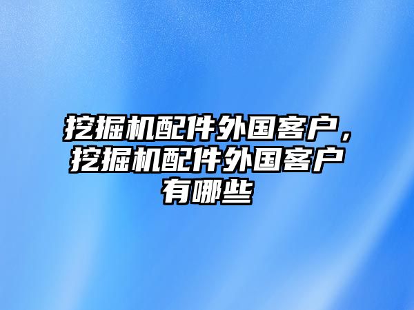 挖掘機配件外國客戶，挖掘機配件外國客戶有哪些