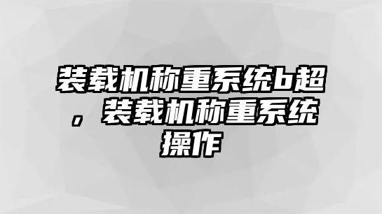 裝載機稱重系統b超，裝載機稱重系統操作