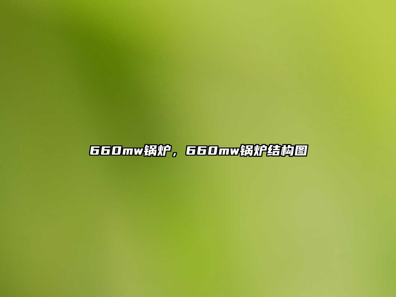 660mw鍋爐，660mw鍋爐結構圖