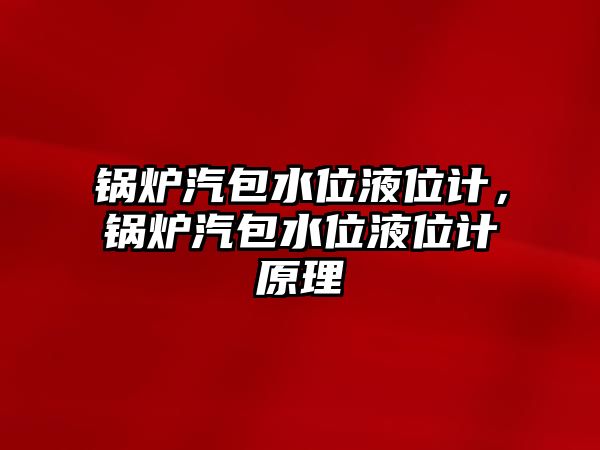 鍋爐汽包水位液位計，鍋爐汽包水位液位計原理