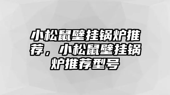 小松鼠壁掛鍋爐推薦，小松鼠壁掛鍋爐推薦型號