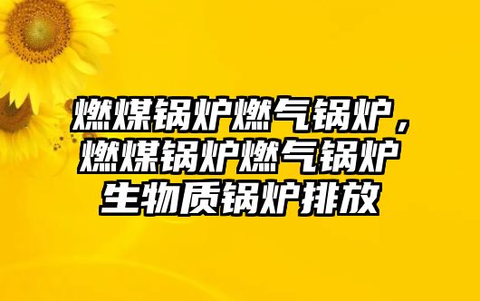 燃煤鍋爐燃氣鍋爐，燃煤鍋爐燃氣鍋爐生物質鍋爐排放