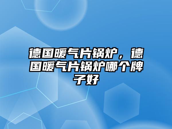 德國暖氣片鍋爐，德國暖氣片鍋爐哪個牌子好