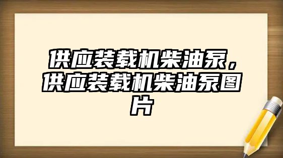 供應裝載機柴油泵，供應裝載機柴油泵圖片