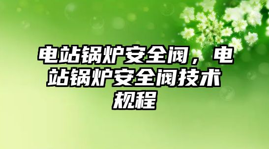 電站鍋爐安全閥，電站鍋爐安全閥技術規程