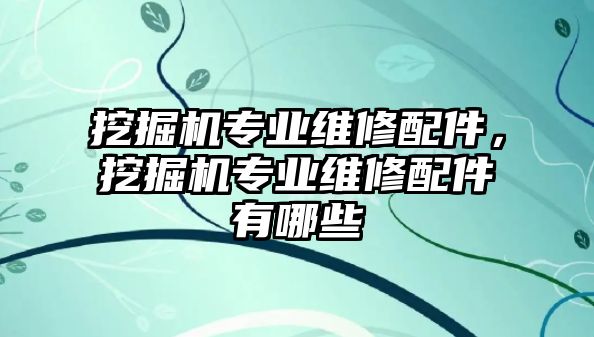 挖掘機專業維修配件，挖掘機專業維修配件有哪些