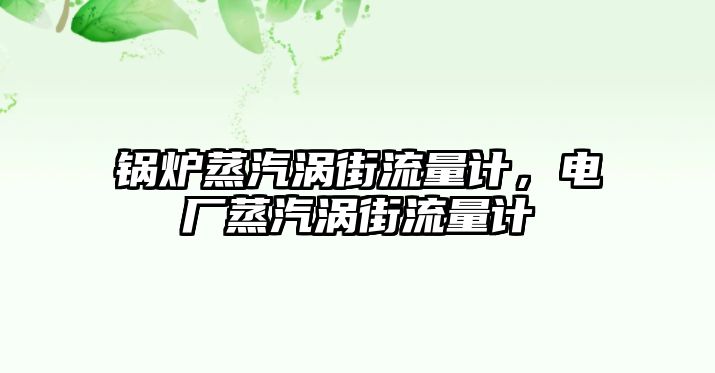 鍋爐蒸汽渦街流量計，電廠蒸汽渦街流量計