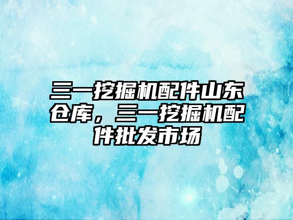 三一挖掘機配件山東倉庫，三一挖掘機配件批發市場