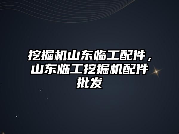 挖掘機山東臨工配件，山東臨工挖掘機配件批發