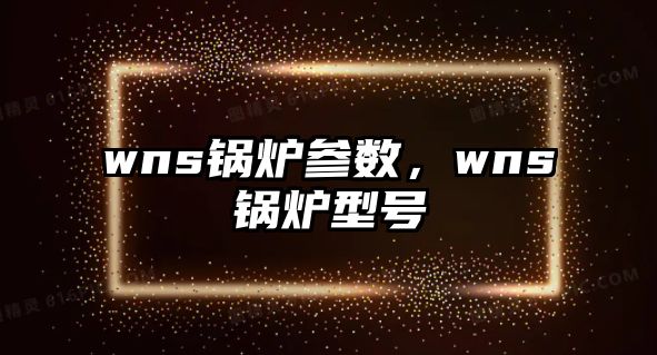 wns鍋爐參數，wns鍋爐型號