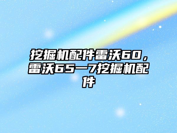 挖掘機配件雷沃60，雷沃65一7挖掘機配件