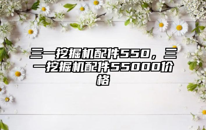 三一挖掘機(jī)配件550，三一挖掘機(jī)配件55000價格