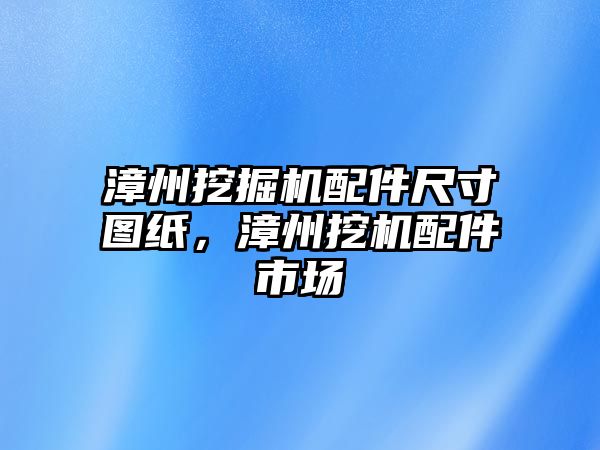 漳州挖掘機配件尺寸圖紙，漳州挖機配件市場