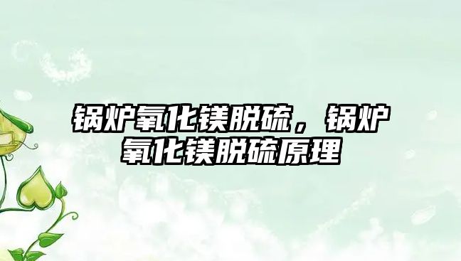 鍋爐氧化鎂脫硫，鍋爐氧化鎂脫硫原理