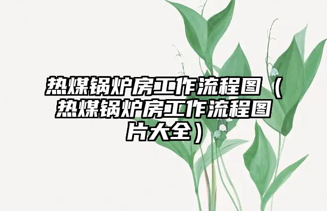 熱煤鍋爐房工作流程圖（熱煤鍋爐房工作流程圖片大全）