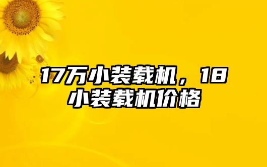 17萬小裝載機，18小裝載機價格