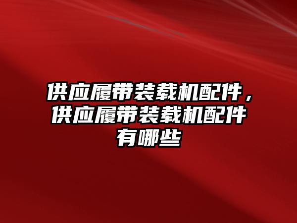 供應履帶裝載機配件，供應履帶裝載機配件有哪些