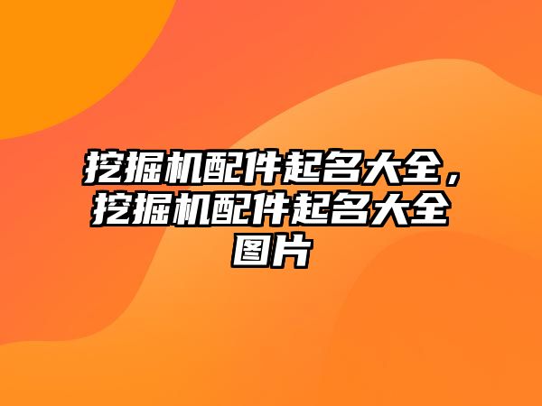 挖掘機配件起名大全，挖掘機配件起名大全圖片