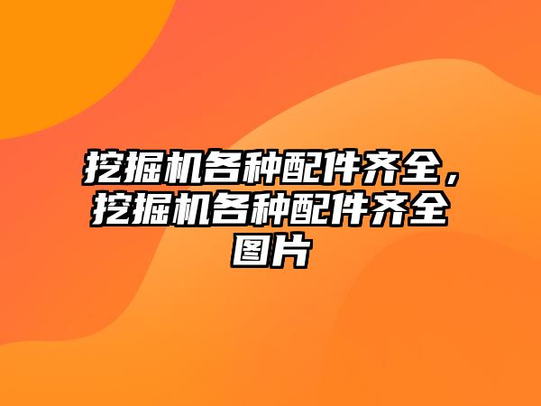 挖掘機各種配件齊全，挖掘機各種配件齊全圖片