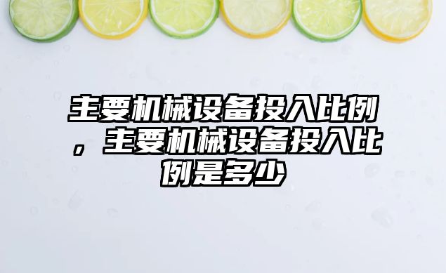 主要機械設備投入比例，主要機械設備投入比例是多少