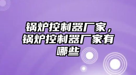 鍋爐控制器廠家，鍋爐控制器廠家有哪些