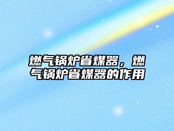 燃?xì)忮仩t省煤器，燃?xì)忮仩t省煤器的作用