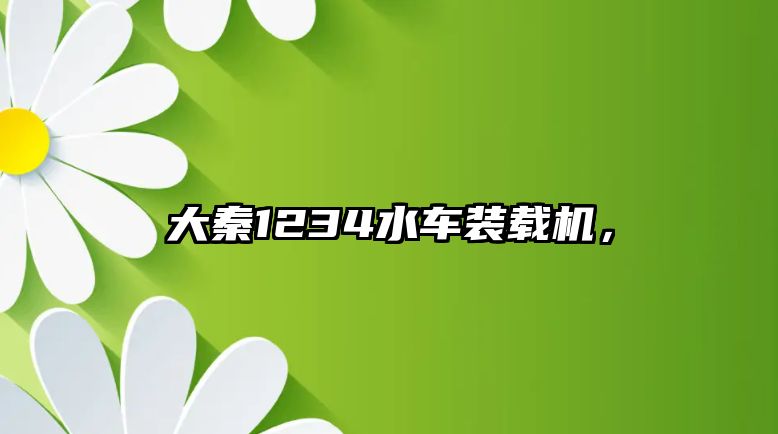 大秦1234水車裝載機，