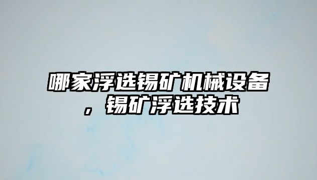 哪家浮選錫礦機械設備，錫礦浮選技術