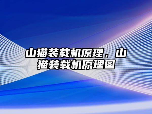 山貓裝載機原理，山貓裝載機原理圖