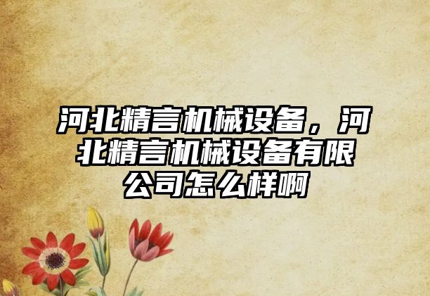 河北精言機械設備，河北精言機械設備有限公司怎么樣啊