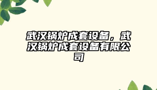 武漢鍋爐成套設備，武漢鍋爐成套設備有限公司