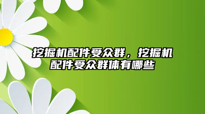 挖掘機配件受眾群，挖掘機配件受眾群體有哪些