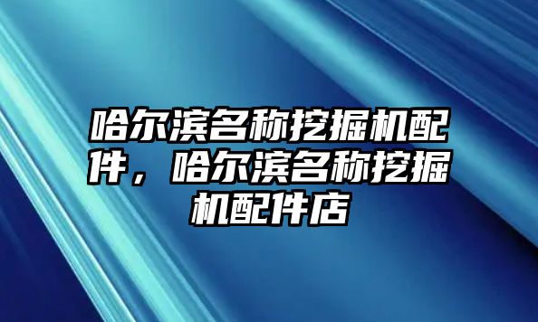 哈爾濱名稱挖掘機配件，哈爾濱名稱挖掘機配件店