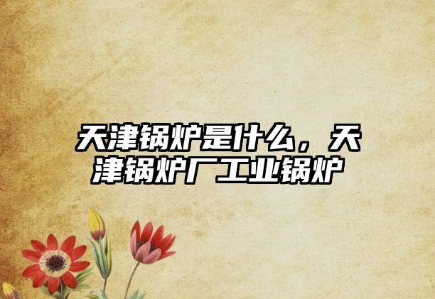 天津鍋爐是什么，天津鍋爐廠工業鍋爐