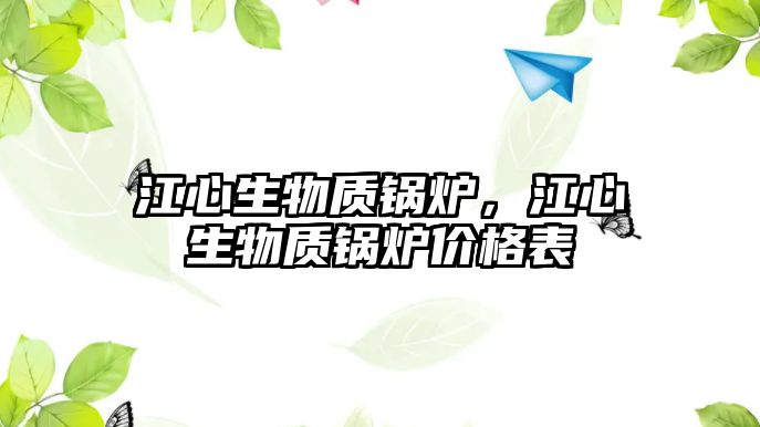 江心生物質鍋爐，江心生物質鍋爐價格表