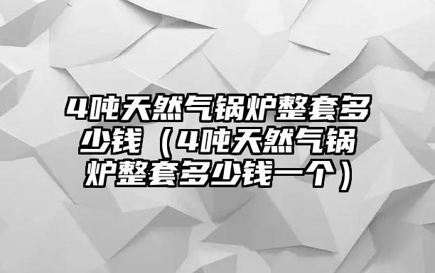 4噸天然氣鍋爐整套多少錢（4噸天然氣鍋爐整套多少錢一個）