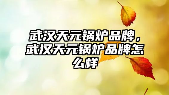 武漢天元鍋爐品牌，武漢天元鍋爐品牌怎么樣