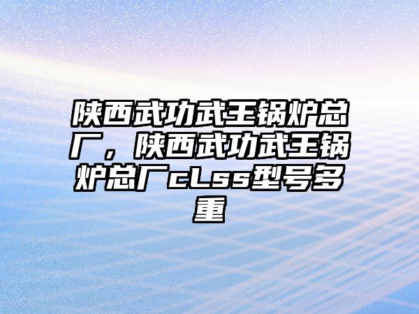 陜西武功武王鍋爐總廠，陜西武功武王鍋爐總廠cLss型號多重