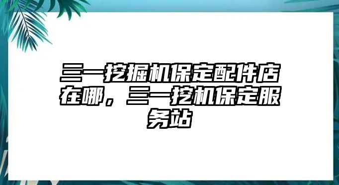 三一挖掘機保定配件店在哪，三一挖機保定服務站