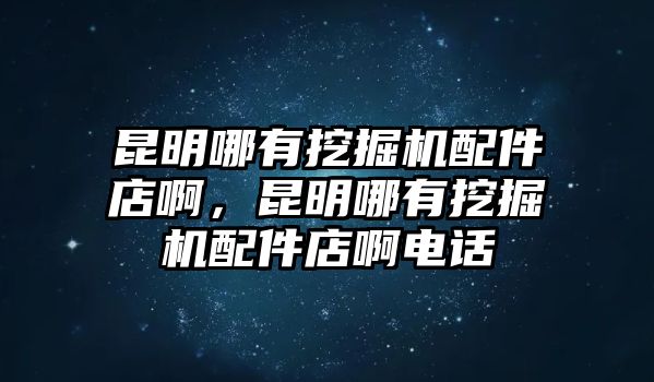 昆明哪有挖掘機(jī)配件店啊，昆明哪有挖掘機(jī)配件店啊電話