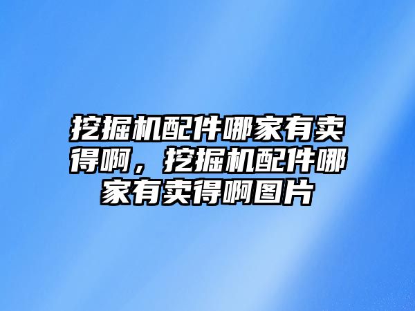 挖掘機配件哪家有賣得啊，挖掘機配件哪家有賣得啊圖片